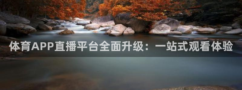 体育APP直播平台全面升级：一站式观看体验
