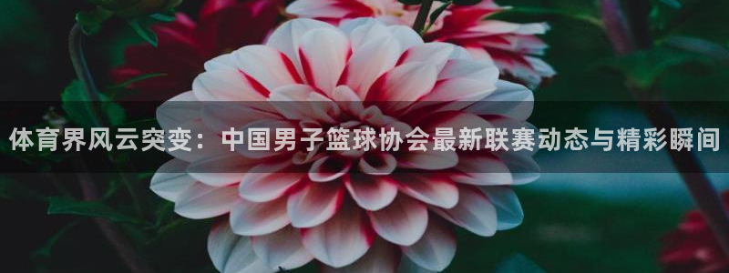 体育界风云突变：中国男子篮球协会最新联赛动态与精彩瞬间