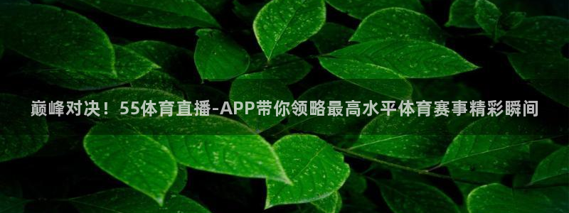 巅峰对决！55体育直播-APP带你领略最高水平体育赛事精彩瞬间