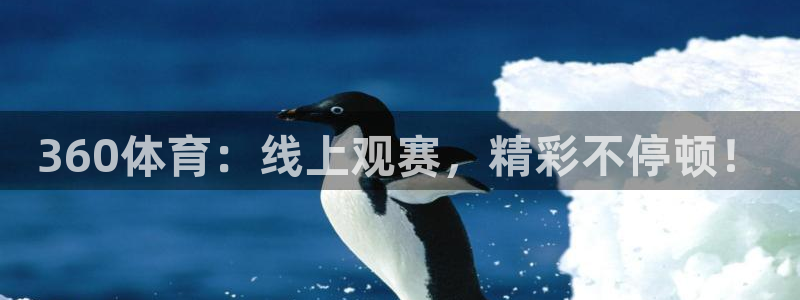 360体育：线上观赛，精彩不停顿！