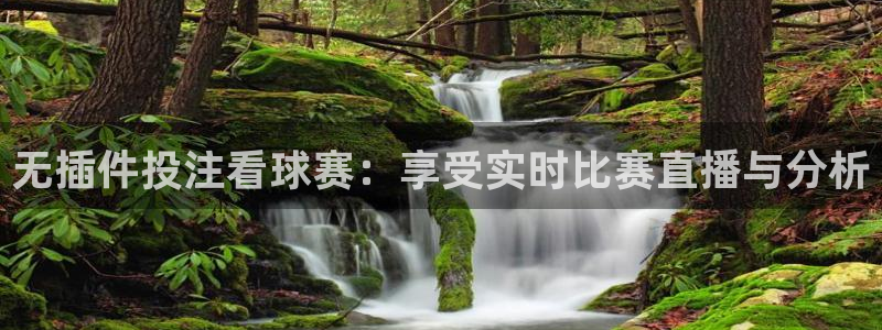 无插件投注看球赛：享受实时比赛直播与分析