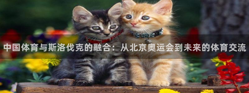 中国体育与斯洛伐克的融合：从北京奥运会到未来的体育交流