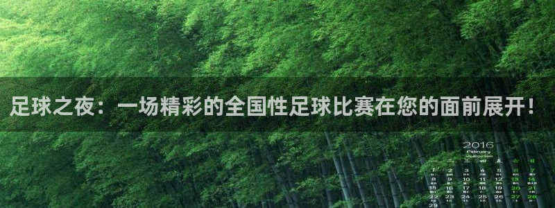 足球之夜：一场精彩的全国性足球比赛在您的面前展开！