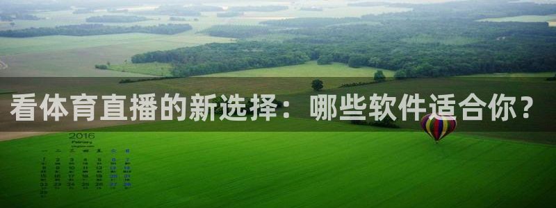 看体育直播的新选择：哪些软件适合你？