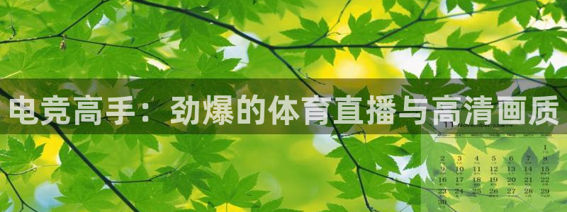 电竞高手：劲爆的体育直播与高清画质