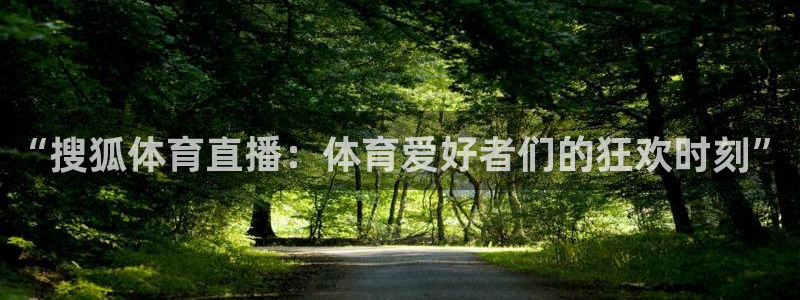 “搜狐体育直播：体育爱好者们的狂欢时刻”