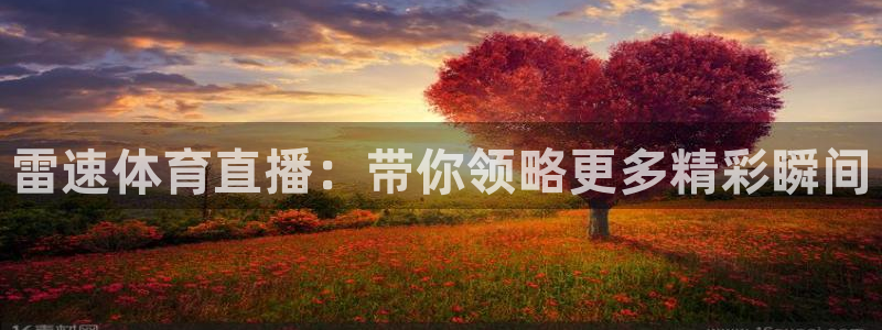 雷速体育直播：带你领略更多精彩瞬间