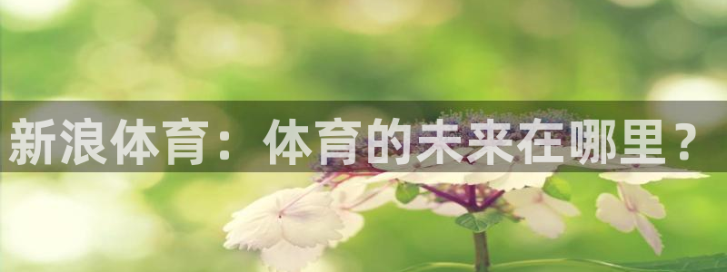 新浪体育：体育的未来在哪里？