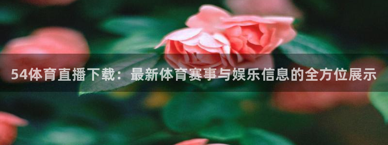 54体育直播下载：最新体育赛事与娱乐信息的全方位展示