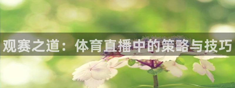 观赛之道：体育直播中的策略与技巧