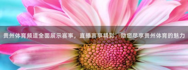 贵州体育频道全面展示赛事，直播赛事精彩，助您尽享贵州体育的魅力