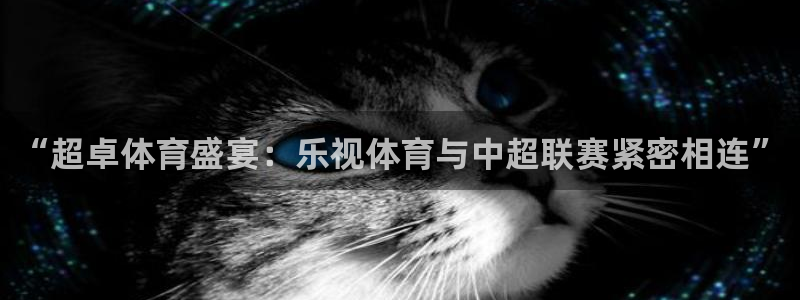“超卓体育盛宴：乐视体育与中超联赛紧密相连”