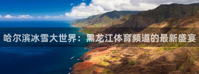 哈尔滨冰雪大世界：黑龙江体育频道的最新盛宴