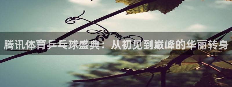 腾讯体育乒乓球盛典：从初见到巅峰的华丽转身