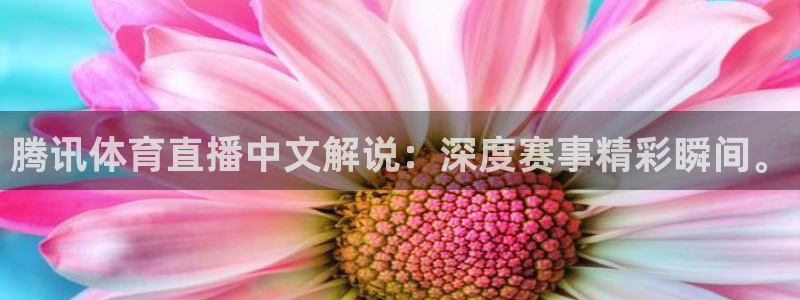 腾讯体育直播中文解说：深度赛事精彩瞬间。