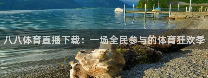 八八体育直播下载：一场全民参与的体育狂欢季