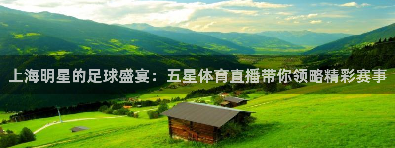 上海明星的足球盛宴：五星体育直播带你领略精彩赛事