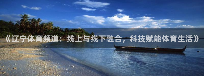 《辽宁体育频道：线上与线下融合，科技赋能体育生活》
