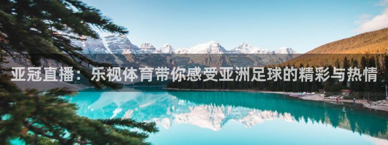 亚冠直播：乐视体育带你感受亚洲足球的精彩与热情