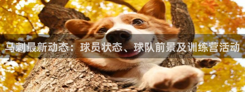 马刺最新动态：球员状态、球队前景及训练营活动